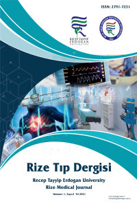 Rize Tıp Dergisi