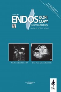 Endoskopi Gastrointestinal