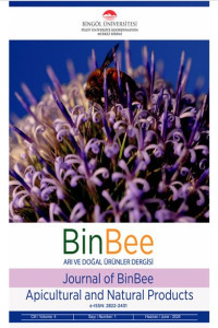 BinBee – Arı ve Doğal Ürünler Dergisi