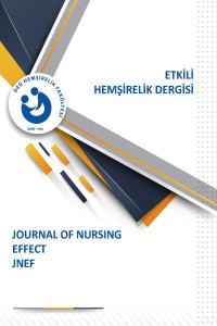 Etkili Hemşirelik Dergisi