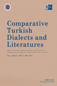 Comparative Turkish Dialects and Literatures Cover image