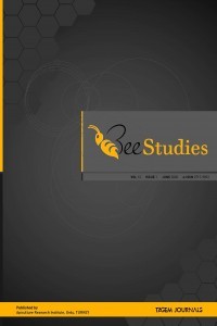 Bee Studies