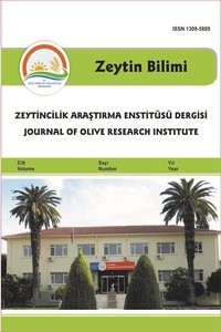 Zeytin Bilimi