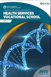 Journal of Vocational School of Health Service